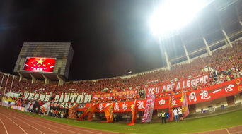 九游体育官网入口-“在金牛区城北体育馆，舞者们以最完美的姿态迎接2025世界运动会运动舞蹈赛！”  第3张