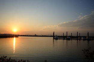 九游娱乐app-千帆竞发，轻艇马拉松点亮湖滨赛场，赛艇马拉松多少公里